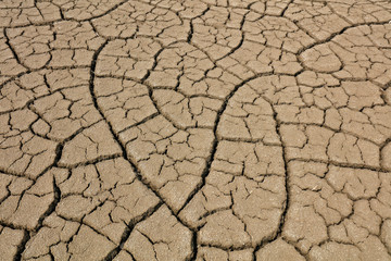Arid cracked land