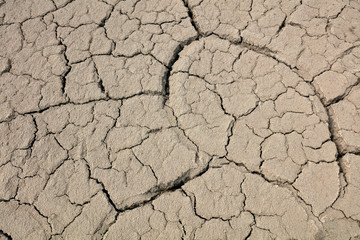 Arid cracked land