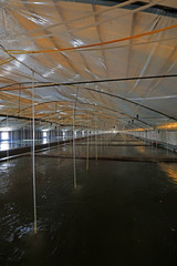 Mariculture pond in China