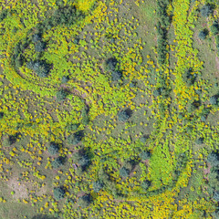 aerial view over the meadows