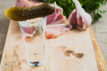 A shot of vodka and a pickled cucumber on a glass is a snack in Ukrainian