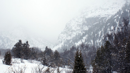 Mountain landscape in winter in a storm