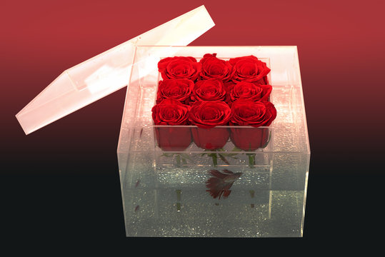 Floral design. Aquarium with fish and roses. Flower shop. red rose bouquet in box. Love and passion. Valentines day present. It is for you. merry me. huney moon concept