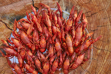 Crawfish cooked and served on wooden background