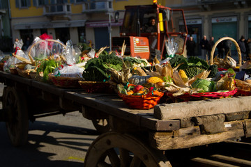 Festa dell'agricoltura