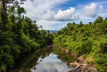 Fototapeta na wymiar Beautiful river and green tree in tropical forest at Thailand.