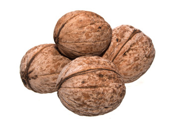 nut isolated on white background