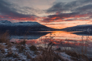 Beautiful orange sunset sunset landscape with pink clouds in a fjord reflection in Norway near the city of Tromso with hoarfrost on the rocks near the ocean