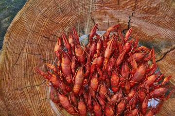Crawfish cooked and served on wooden background