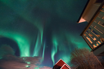 The polar arctic Northern lights aurora borealis sky star in Scandinavia Norway Tromso in the farm winter forest  