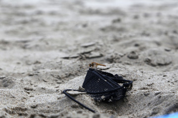 plastik schnurr am strand