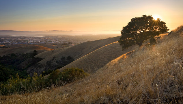 Mountaintop view of East Bay and San Francisco Bay in summer, California