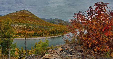 Russia. far East. The colours of autumn are cold-water rivers of Magadan.