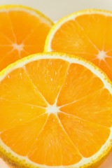 スイートスプリング