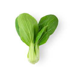 Bok choy vegetable isolated on the white background. top view