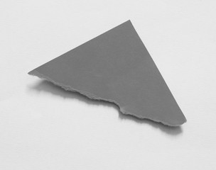pieces of torn paper texture background, copy space.