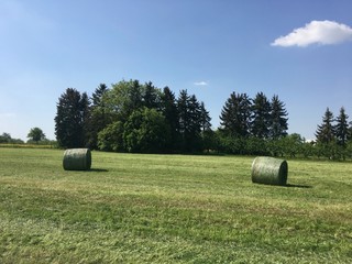 Heuballen auf einer frisch gemähten Wiese in Esslingen (Baden-Württemberg)