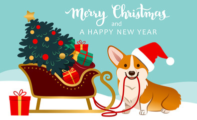Cute corgi dog in Santa hat ready to pull sleigh with decorated Christmas tree and colorful gifts vector illustration. Pets, dogs, Christmas, winter holidays, new year theme for greeting cards.