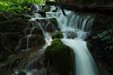 Obraz premium Waterfall in the forest