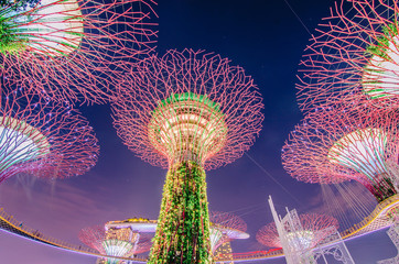 Night view of Supertrees at Gardens by the Bay. The tree-like structures are fitted with environmental technologies that mimic the ecological function of trees..