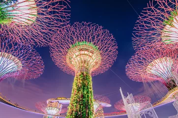Rolgordijnen Singapore Night view of Supertrees at Gardens by the Bay. The tree-like structures are fitted with environmental technologies that mimic the ecological function of trees..