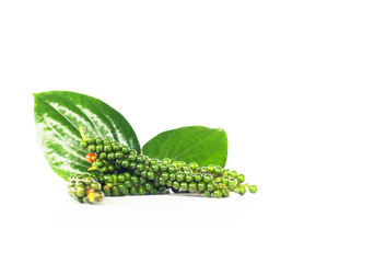 Fresh Green Peper on white background