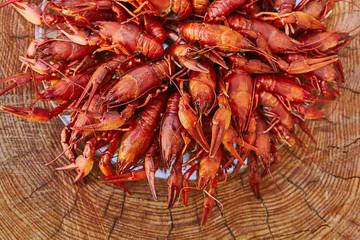 Crawfish cooked and served on wooden background