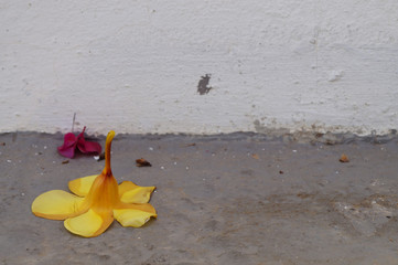 Runtergefallen...