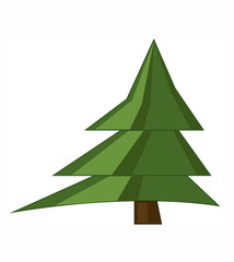 christmas tree, pine tree