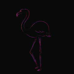 Simple sketch of flamingo silhouette. Outline vector illustration isolated at black background. 