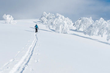 Unrecognizable female tourist trekking on her skis up the snowy hill in Niseko.