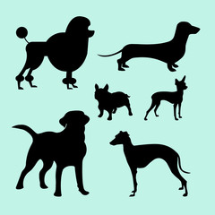 Set of different vector illustrations of silhouettes pets for design use. The monochrome dog breeds: poodle, terrier, french bulldog, Labrador, dachshund, greyhound,chia hua hua.