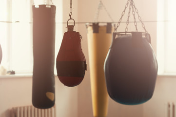 Row of black boxing bags of different shapes hanging in the sports gym. Boxing sand bags hanging in the club on the daylight, nobody in the gym