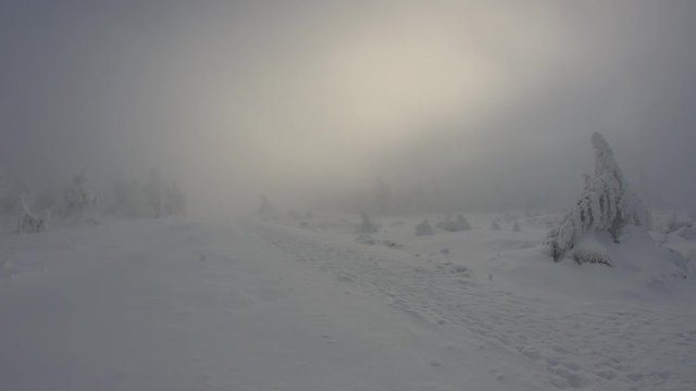 Winter landscape at the Brocken mountain