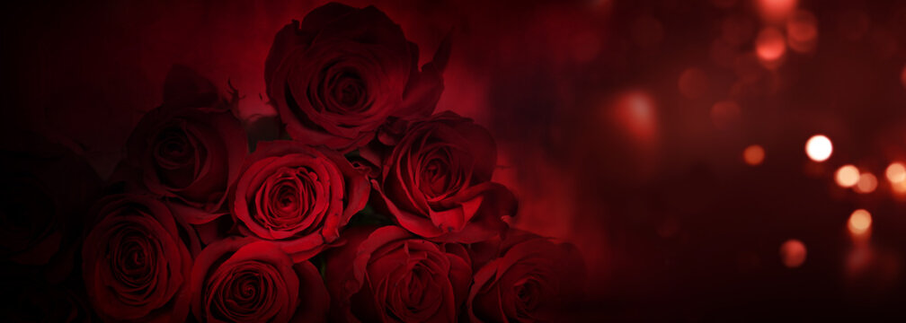 Red roses background
