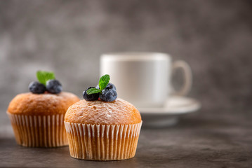 Blueberry muffins on grey background. Side view