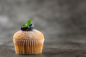 Blueberry muffin on grey background. Side view, Copy Space