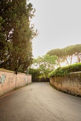 Empty s-curved path along the public skyline. Background of urban environment.