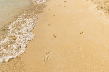 Vacation: footprints on a sandy beach on sunny day