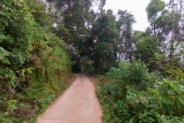 Fototapeta na wymiar dirty dirt road through the mountain at Doi Mon Jong, Chiang Mai, Thailand
