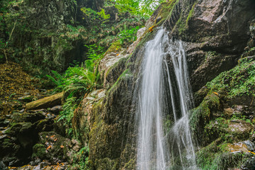 Naklejka premium Waterfall in the forest in the valley of mountains . Mountain stream with clear water . Deciduous old-growth forest.