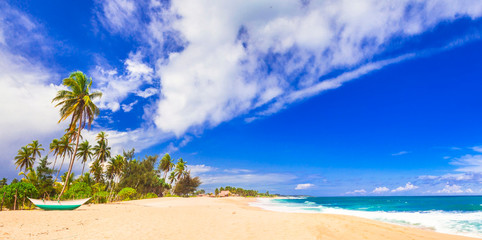 amazing wild beaches of Sri Lanka. Tangale, south of island
