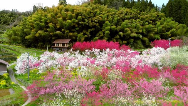 ドローン空撮 天国に一番近い里 後退