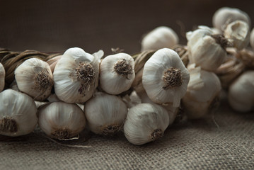 dry garlic on burlap