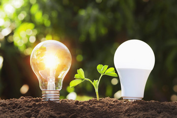 led and lightbulb with young plant on soil. concept saving energy in nature