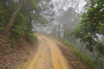 Fototapeta na wymiar dirty dirt road through the mountain at Doi Mon Jong, Chiang Mai, Thailand