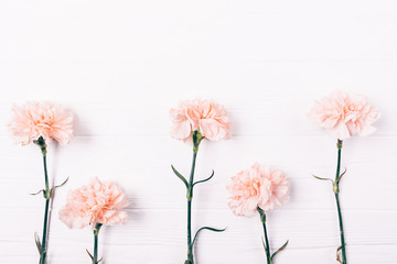 Simple delicate pink flowers in a row