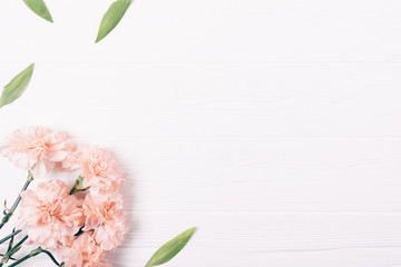 Side flat lay frame of simple delicate pink flowers