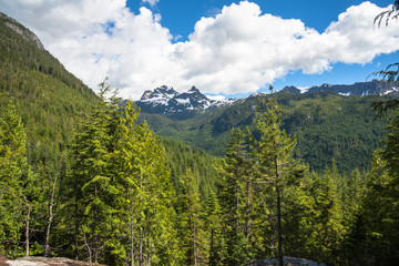 Mountain Forested Landscape on a Sunny Summer Day. Squamish, BC, Canada.