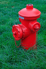 red fire hydrant is on the lawn